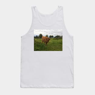 Scottish Highland Cattle Calf 1814 Tank Top